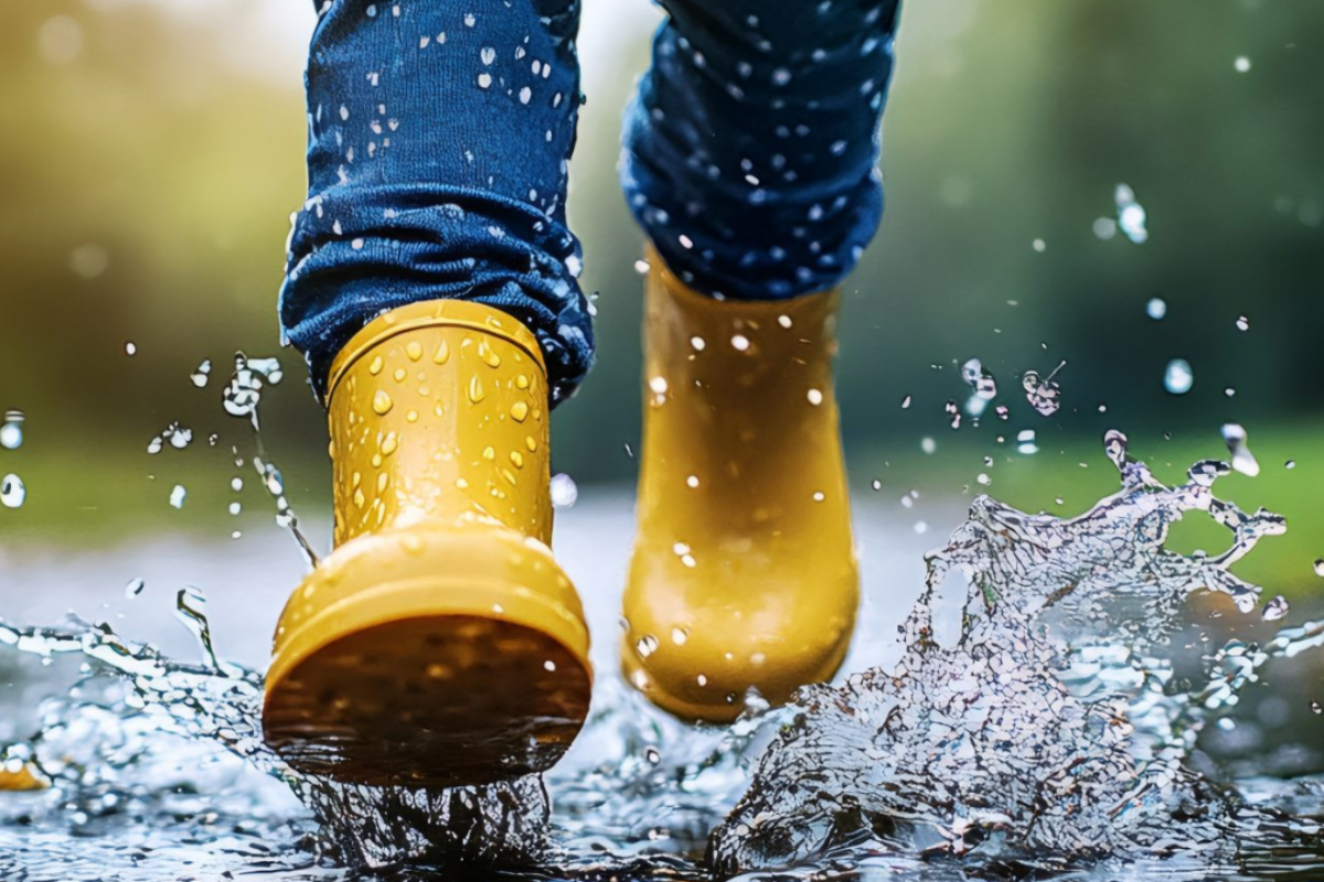 Home untitled design (1)